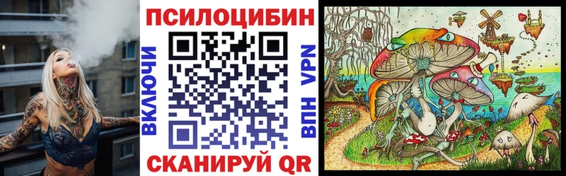 Псилоцибиновые грибы мухоморы  omg рабочий сайт  Кашира 