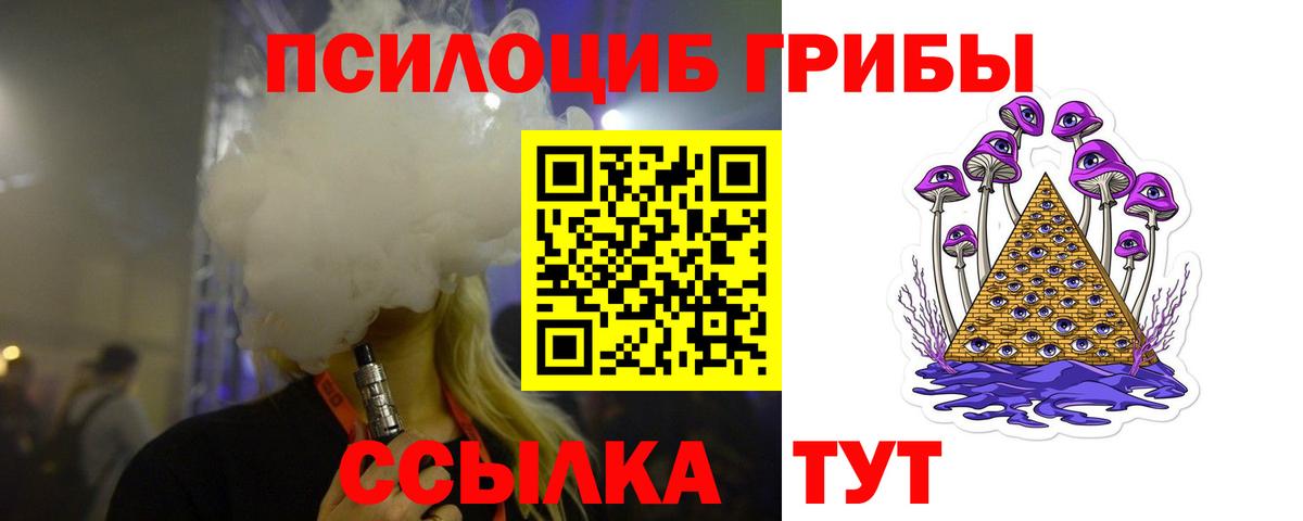 Псилоцибиновые грибы прущие грибы Кашира